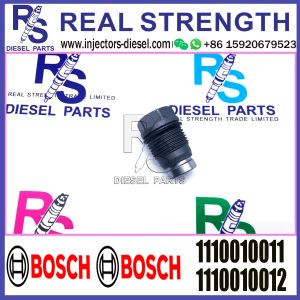 Wholesale BOSCH Control Valve relief valve 1110010011 1110010012 1110010013 1110010014 1110010015 Applicable to Diesel Engine from china suppliers