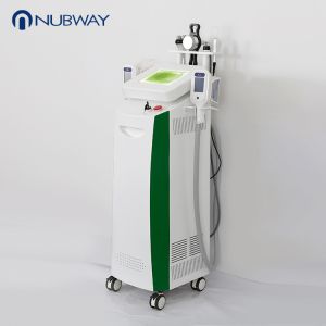 Multi-Functional beauty equipment kryolipolyse cool tech slimming machine