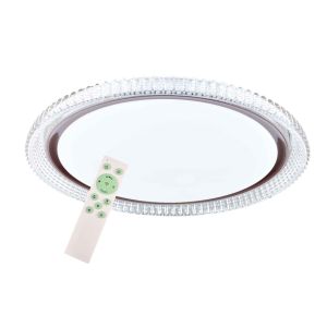 LED Ceiling lamp Powered by Tuya smart(LD-KYSR30-450)