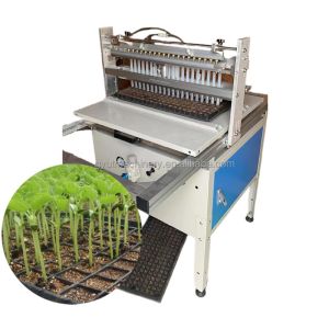Wholesale 200 Holes Automatic Seed Sowing Planting Machine for Seeding Vegetable Seeds Function from china suppliers