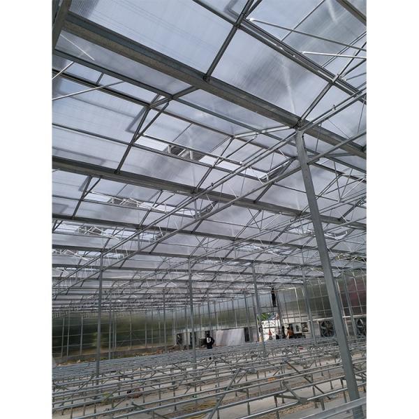 Clear Plastic Polycarbonate Roof Greenhouse For Flower And Vegetable Cultivation