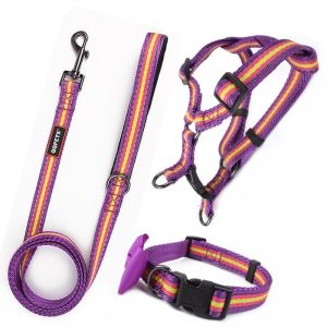 Eco Friendly Bowtie Reflective Polyester Dog Collar