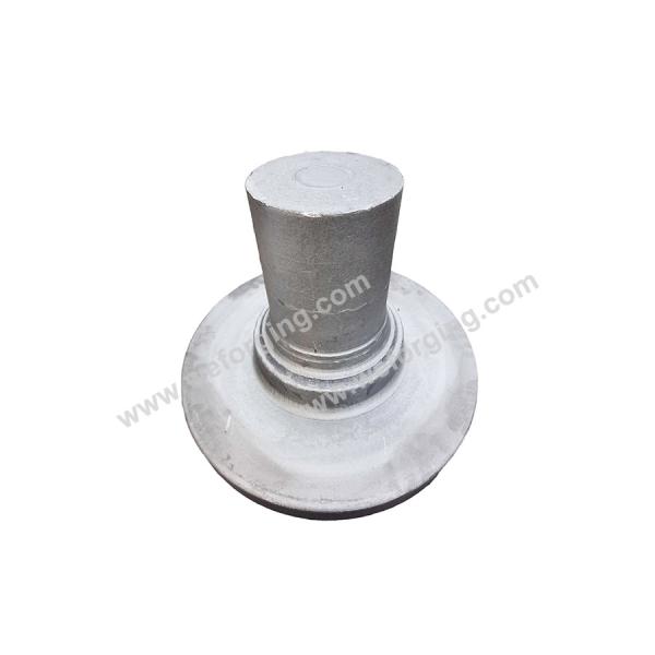 Custom Hot Forging Machining Forgings Metal Discs And Shaft Large Gear