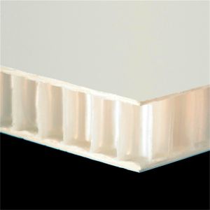 Length 2440mm FRP Honeycomb Panel Polypropylene Core waterproof