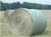 HDPE Plastic Round Hay Bale Agriculture Shade Net 50m - 1000m Length , Bird
