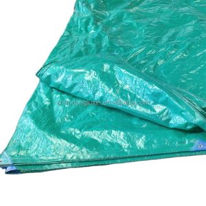 Waterproof Dustproof Moisture Proof PE Tarpaulin Green Tent For Outdoor Other
