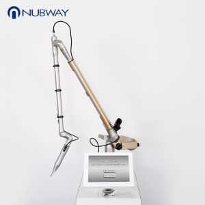 tattoo and pigment removal laser machine spa use,Q-Switch nd laser machine