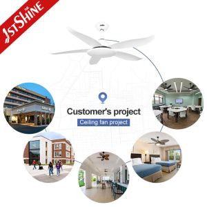 Modern Home 48" Ceiling Fan with Remote Control and Light Design 5 Plastic