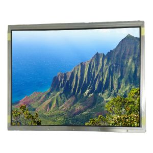 China 19.0 inch 86PPI NL128102BC29-01 TFT LCD Display panel on sale