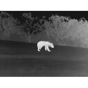 Guide TA 50mm Thermal Imaging Attachment For Hunting