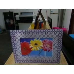 PLASTIC LENTICULAR fly eye lens images fly eye lens photo 3d photo frames with