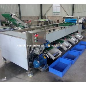 Wholesale Cucumber Sorting Machine, Cucumber Grading Machine, Cucumber Grader sorter from china suppliers