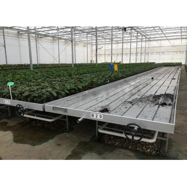 Water Production Agricultural Greenhouse Manufacturer Growing Hydroponic System Rooling Bench System