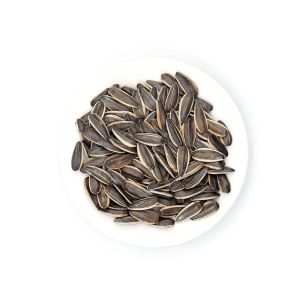 Amazon hot sale Sell high-quality sunflower seed raw materials that meet Egypt's