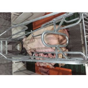 Customized Piglets Galvanized Breeding Pig Farrowing Pen