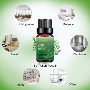 100% Pure Body Essential Oils Perfume 20ml Organic Cypress Essential Oil ODM