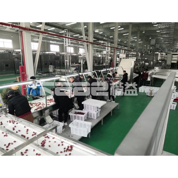 3 Layered IR Tunnel Conveyor Dryer Machine Fruit And Vegetable Tunnel And