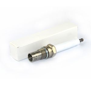 Factory Direct Sale Industrial Spark Plug R10P3 For Jenhach-Er Engines