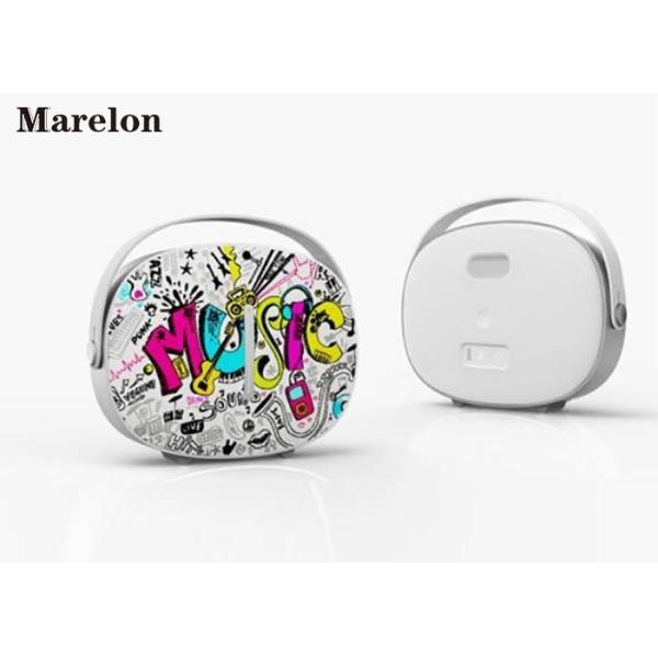 Portable Music Bluetooth Speaker , Wireless Amazon Alexa Speaker 6000mAh Battery