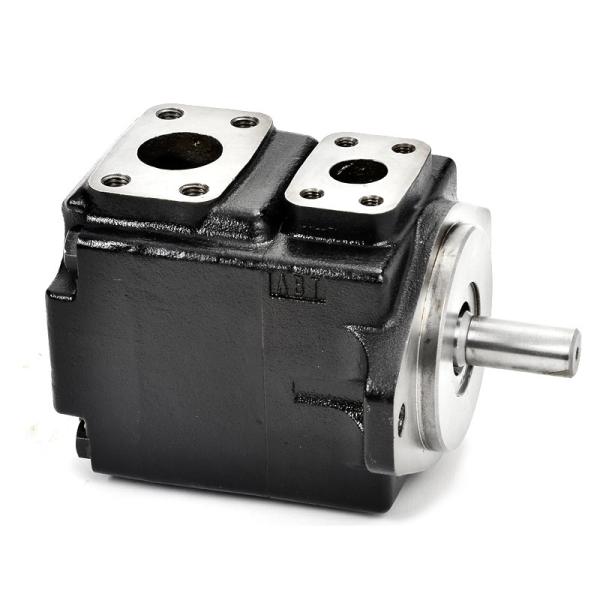 T6C/T6D/T6E/T6CM/T6DM/T6EM/T6CP/T6DP/T6EP Hydraulic Vane Pump T6DM-B50-1R00-C1