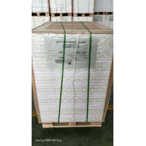 Single Side Coated FBB Ivory Board for Packaging Customizable Packaging Solution