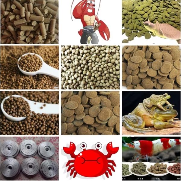 Small Poultry Feed Making Machine Chicken Cattl Fish Feed Extruder Machine Fish Food Extrud Pellet Product Pelletizer Machine