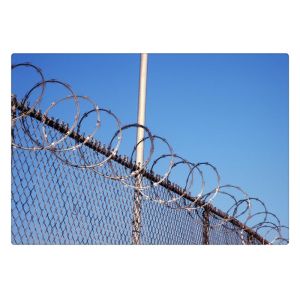 Anti Climb Mesh BTO-22 Single Razor Concertina Barbed Wire