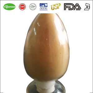 Manufacturer Supply Graviola Soursop Extract 4:1 for fruit juice application