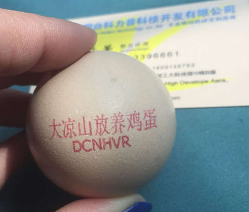 Micro Characters / Dot Matrix Egg Stamping Machine Single Row No Need To Clean