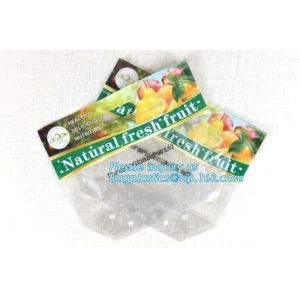 resealable stand up pouch slider zipper fresh fruit/vegetable protection
