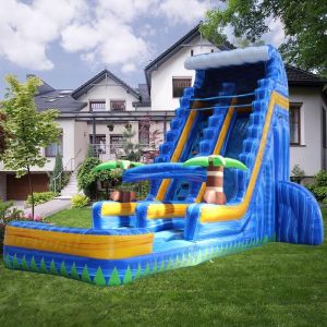 Customized Color Inflatable Pool Slide Water Slide 25 Feet for Outdoor
