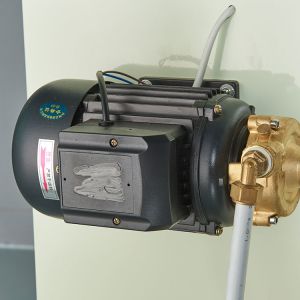 Customized Steam Generator Oil And Gas Fired Easy Maintenance