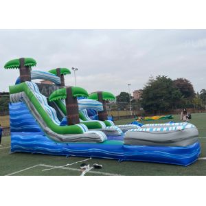 Silk Screen Printing Tropical Palm Inflatable Water Slide With Pool