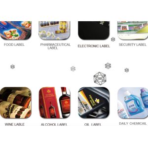 Narrow Web Flexo Printing | 50m/min | 320mm Width,4.8m*3.2m*2.8m Dimensions(l*w