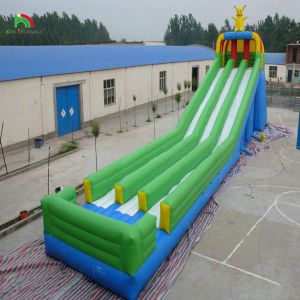 Wholesale Factory Price High Quality Custom Most Popular Giant Inflatable Slip Slide With from china suppliers