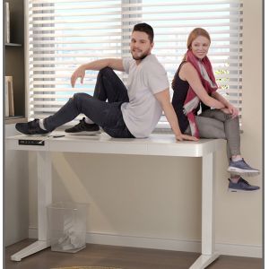 Achieve a Perfect Balance of Style and Function with Our Mid Century Modern