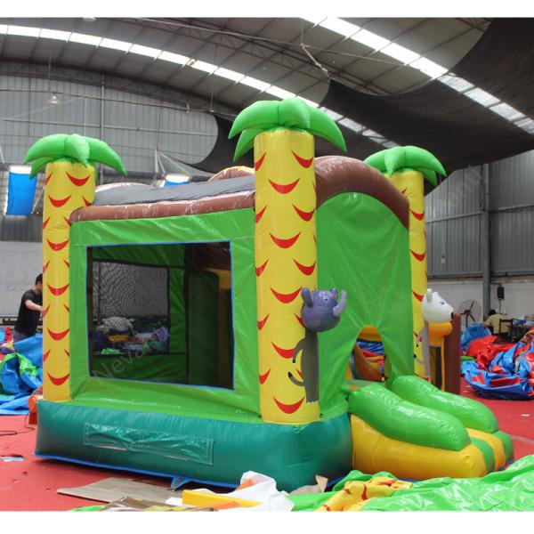 5-7 Years Age Range Inflatable Bouncy Castle Combo with Customized Color Outdoor Fun