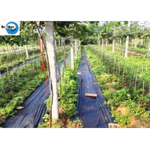 New PP Woven Weed Barrier Control Mat Ground Black Cover Fabric in Strawberry