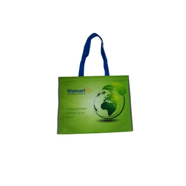 Freuni OEM Production SGS, Sedex Approved PP Non Wove cooler bag with Logo Wholesale