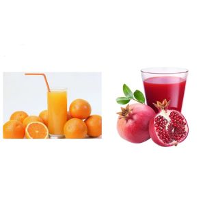 Natural Industrial Orange Juice Making Machine Automatic 220V 304 Stainless