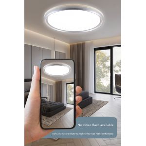 Tri Color LED Ceiling Light 48W Round Ceiling Lights For Living Room