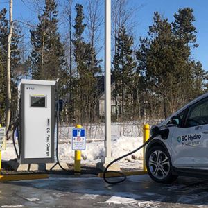 Grid Frequency 50Hz±10Hz 60KW 1000V Floor-standing Charging Pile for BMW iX3 i4