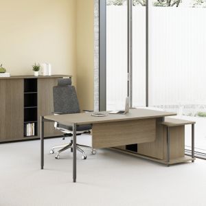 FLEX Ergonomic Design Executive Office Desk Rectangular Shape With Spacious Storage