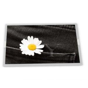 Wholesale New WLED LCD Display Module 20.0-Inch and good Customizable 1600*900 Resolution ODM LTM200KT12 Modules from china suppliers