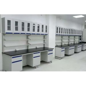 Wholesale Professional Firmness Movable Lab Furniture Chemistry Resistance Acid from china suppliers