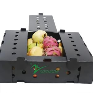 Corruone PP polypropylene correx foldable box Fresh vegetable and fruits pp
