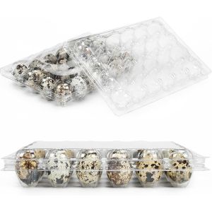 Small Plastic Egg Cartons - Clear 2 Dozen Quail Eggs Tray - Reusable Storage