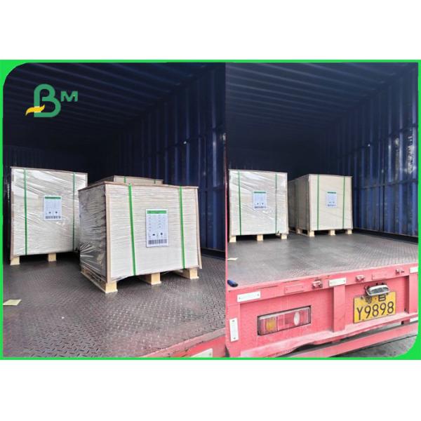 230gsm 260gsm PLA Coated Cardboard For Bowls 100% Biodegradable Food Safe 230gsm 260gsm PLA Coated Cardboard For Bowls 100% Biodegradable Food Safe