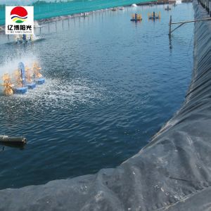 1m-8m Width Geomembranes for Fish Pond Liners Thickness 0.1-2.0mm