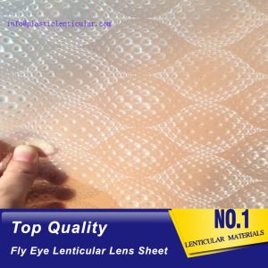 PLASTIC LENTICULAR clear dot lens sheet plastic 0.5mm 3d fly eye microlens array
